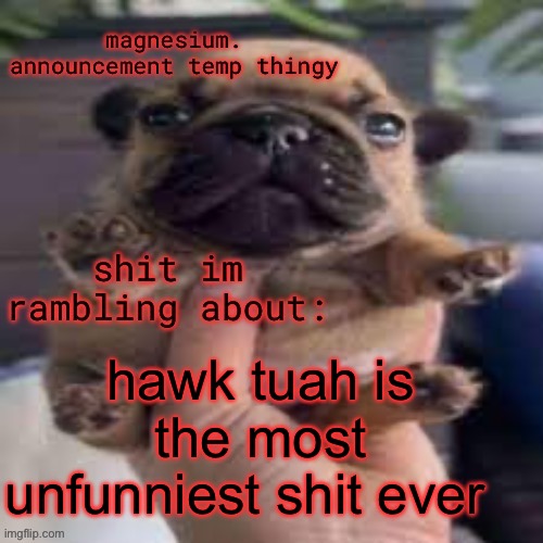 pug temp | hawk tuah is the most unfunniest shit ever | image tagged in pug temp | made w/ Imgflip meme maker