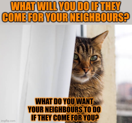 This #lolcat wonders why hoo-mens would rather do nothing than to help each other | WHAT WILL YOU DO IF THEY COME FOR YOUR NEIGHBOURS? WHAT DO YOU WANT 
YOUR NEIGHBOURS TO DO 
IF THEY COME FOR YOU? | image tagged in society,help,lolcat,selfishness,individuality | made w/ Imgflip meme maker