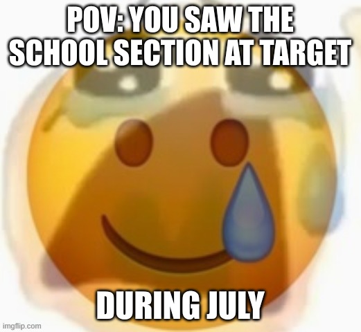 Pain | POV: YOU SAW THE SCHOOL SECTION AT TARGET; DURING JULY | image tagged in pain,school | made w/ Imgflip meme maker