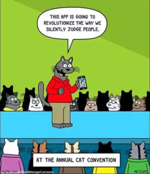 The purrfect app | image tagged in repost | made w/ Imgflip meme maker