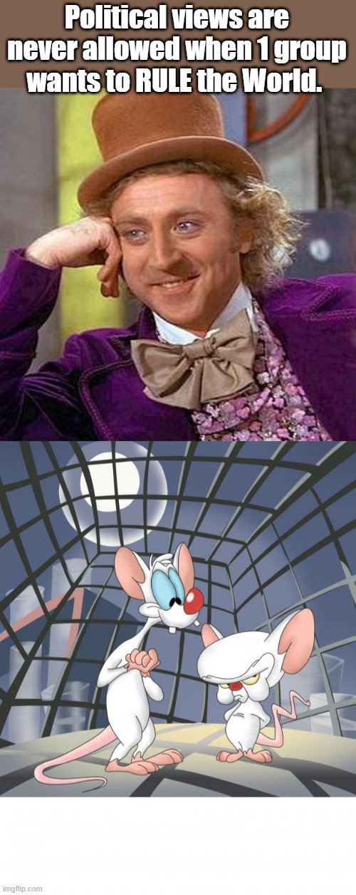 i group of people controling everything is never a good ideal. | Political views are never allowed when 1 group wants to RULE the World. | image tagged in memes,creepy condescending wonka,pinky and the brain | made w/ Imgflip meme maker