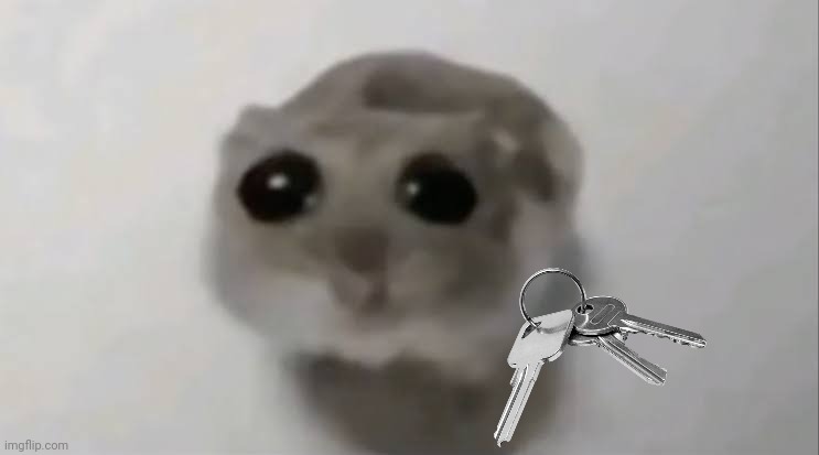 Sad Hamster Meme | image tagged in sad hamster,memes,funny,hamster,sad,keys | made w/ Imgflip meme maker