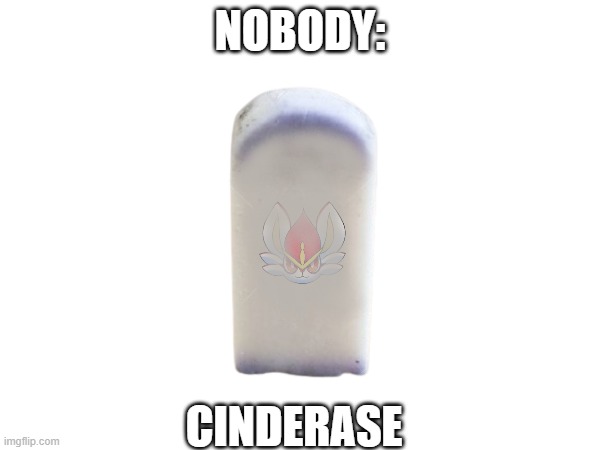 Pokemon Memes | NOBODY:; CINDERASE | image tagged in memes,funny,pokemon memes | made w/ Imgflip meme maker