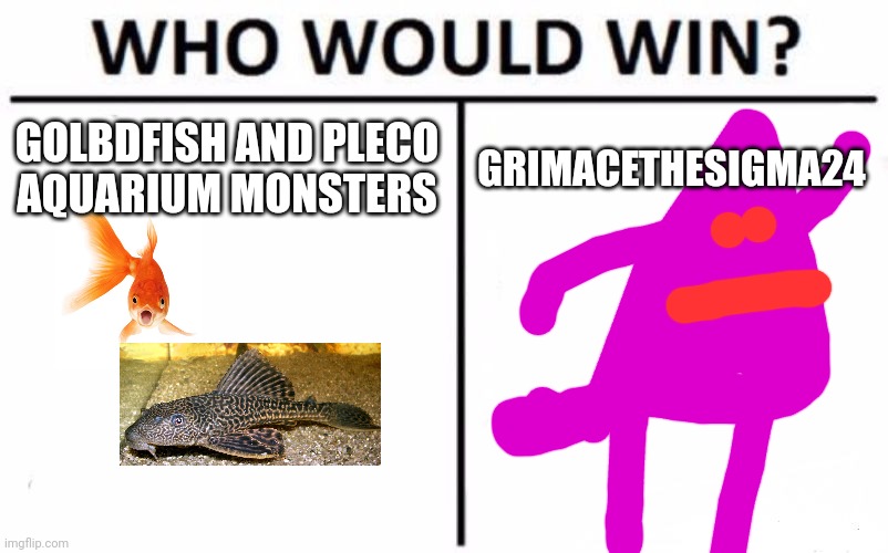 Who Would Win? | GOLBDFISH AND PLECO
AQUARIUM MONSTERS; GRIMACETHESIGMA24 | image tagged in memes,who would win | made w/ Imgflip meme maker