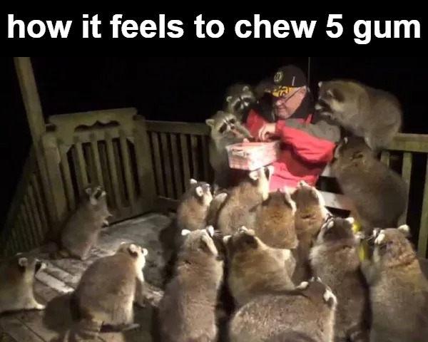 how it feels to chew 5 gum | image tagged in be better | made w/ Imgflip meme maker