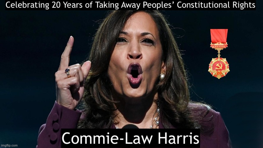 WRONG FOR AMERICA | image tagged in kamala,commie law | made w/ Imgflip meme maker