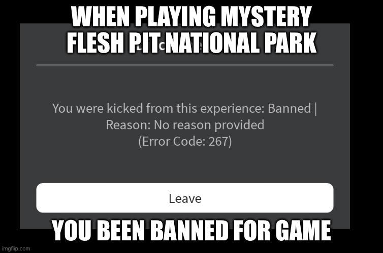 BANNED GAME REASON | WHEN PLAYING MYSTERY FLESH PIT NATIONAL PARK; YOU BEEN BANNED FOR GAME | image tagged in banned from roblox,banned,funny,memes,meme | made w/ Imgflip meme maker