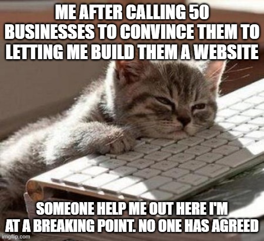 tired cat | ME AFTER CALLING 50 BUSINESSES TO CONVINCE THEM TO LETTING ME BUILD THEM A WEBSITE; SOMEONE HELP ME OUT HERE I'M AT A BREAKING POINT. NO ONE HAS AGREED | image tagged in tired cat | made w/ Imgflip meme maker