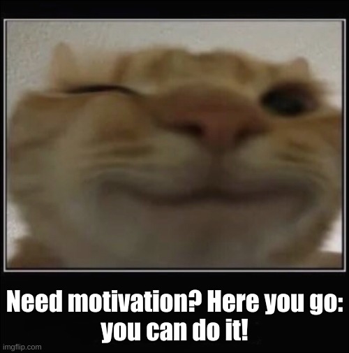 ^^ | Need motivation? Here you go:
you can do it! | image tagged in gusic cat | made w/ Imgflip meme maker