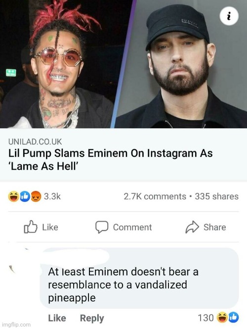 To be fair, lil pump does look like that | image tagged in memes,rareinsults,funny,lil pump,enimem | made w/ Imgflip meme maker