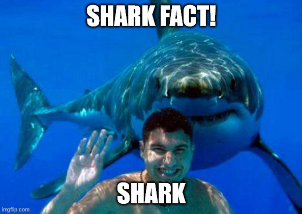 shark | SHARK FACT! SHARK | image tagged in shark | made w/ Imgflip meme maker