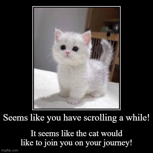 Here, take a little friend on your journey! | Seems like you have scrolling a while! | It seems like the cat would like to join you on your journey! | image tagged in funny,demotivationals,cat,cute | made w/ Imgflip demotivational maker