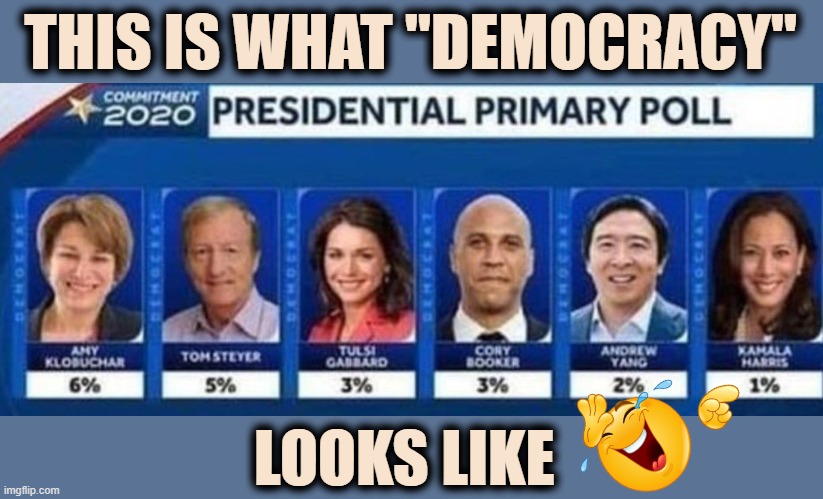 THIS IS WHAT "DEMOCRACY"; LOOKS LIKE | image tagged in kamala,election,democrats,democracy,primaries | made w/ Imgflip meme maker