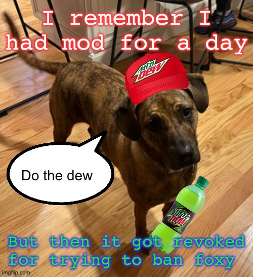 Do the dew | I remember I had mod for a day; But then it got revoked for trying to ban foxy | image tagged in do the dew | made w/ Imgflip meme maker