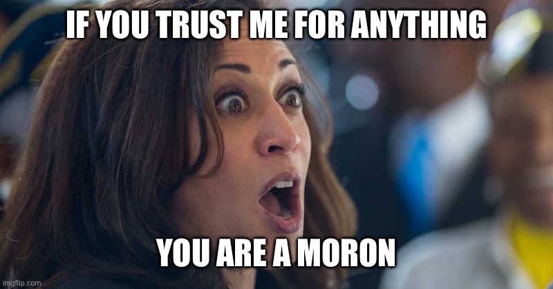 kamala harriss | IF YOU TRUST ME FOR ANYTHING; YOU ARE A MORON | image tagged in kamala harriss | made w/ Imgflip meme maker