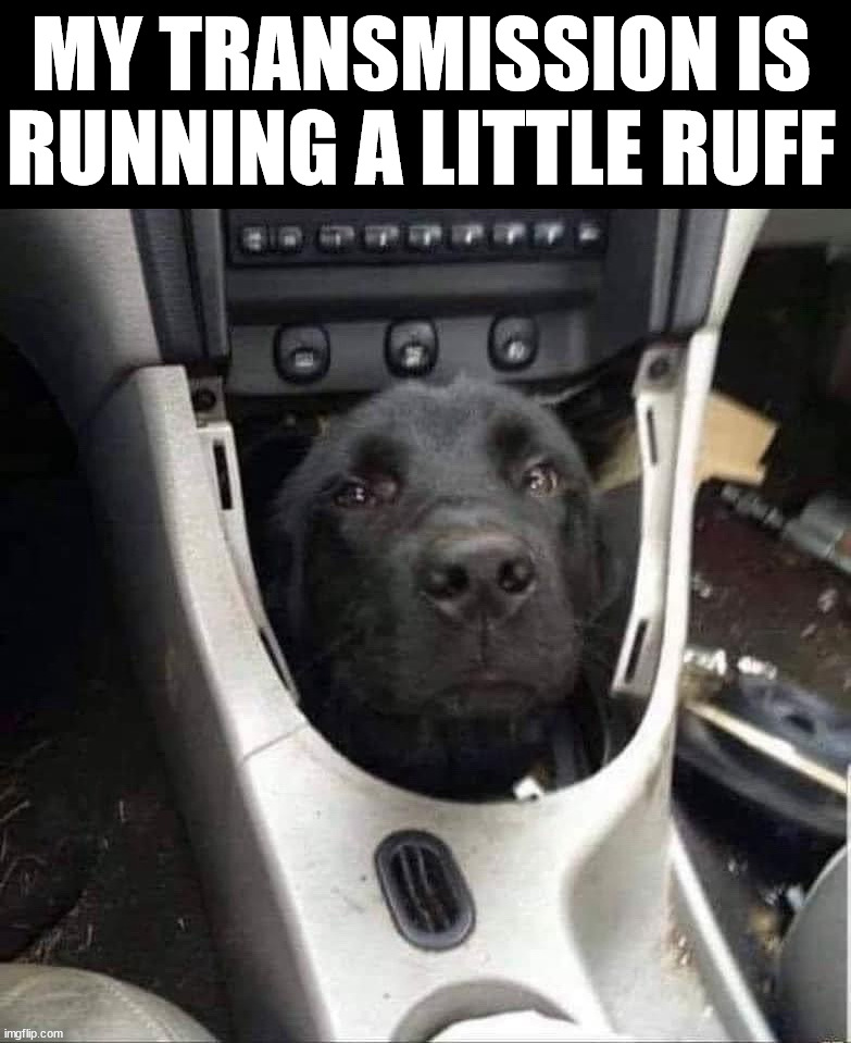 Ruff | MY TRANSMISSION IS RUNNING A LITTLE RUFF | image tagged in cars | made w/ Imgflip meme maker