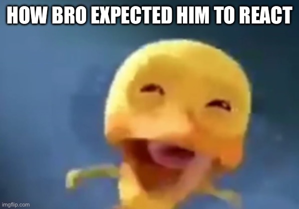 crying duck | HOW BRO EXPECTED HIM TO REACT | image tagged in crying duck | made w/ Imgflip meme maker