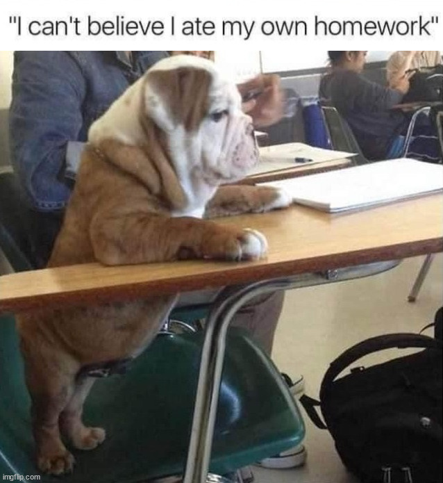 Ate it | image tagged in dogs | made w/ Imgflip meme maker