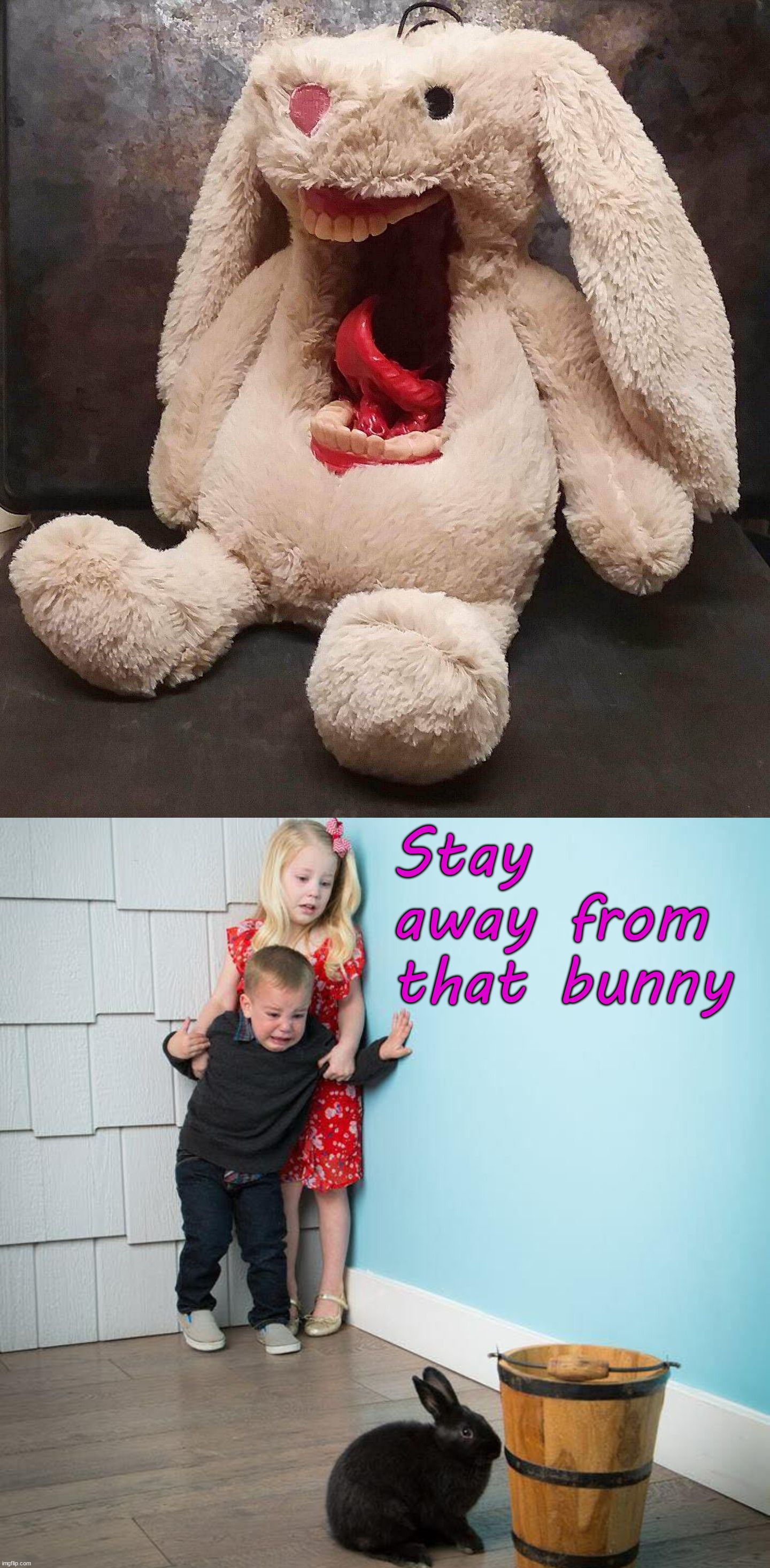 Scary bunny | Stay away from that bunny | image tagged in kids afraid of rabbit,cursed image | made w/ Imgflip meme maker