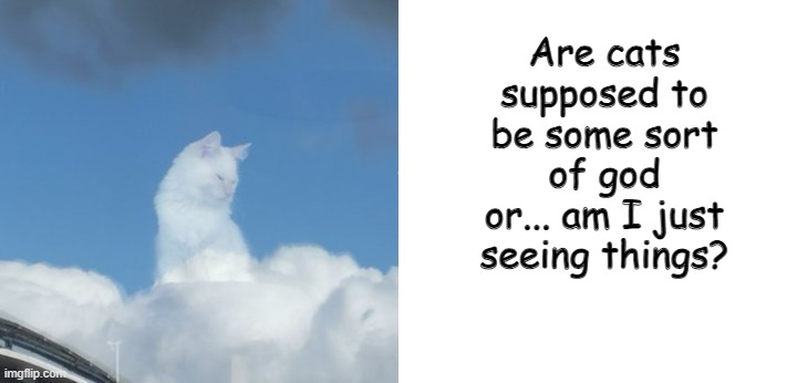 Wait a second... | Are cats supposed to be some sort of god or... am I just seeing things? | image tagged in what,god,cat,cloud | made w/ Imgflip meme maker