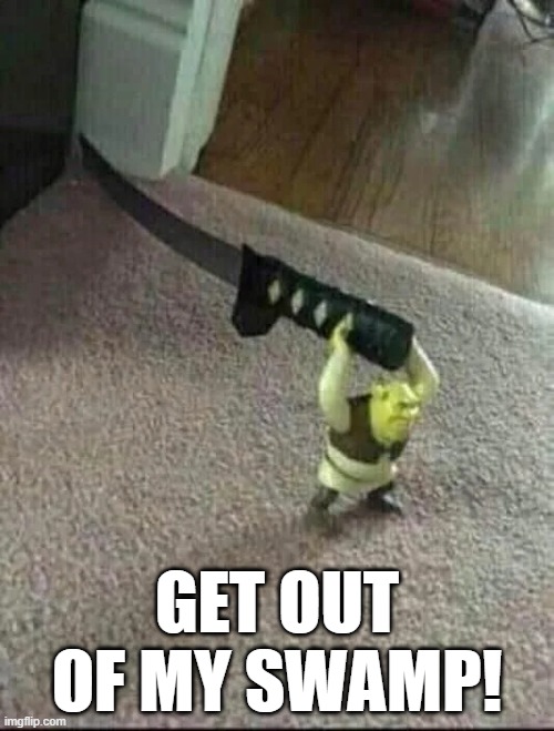 Angry Shrek | GET OUT OF MY SWAMP! | image tagged in funny,memes | made w/ Imgflip meme maker