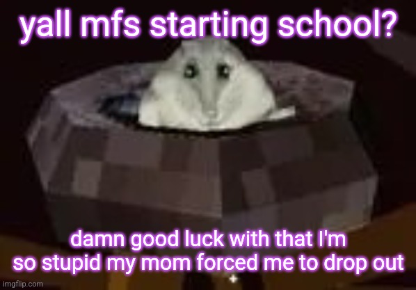 flor | yall mfs starting school? damn good luck with that I'm so stupid my mom forced me to drop out | image tagged in flor | made w/ Imgflip meme maker