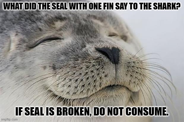 Daily Bad Dad Joke August 12, 2024 | WHAT DID THE SEAL WITH ONE FIN SAY TO THE SHARK? IF SEAL IS BROKEN, DO NOT CONSUME. | image tagged in memes,satisfied seal | made w/ Imgflip meme maker