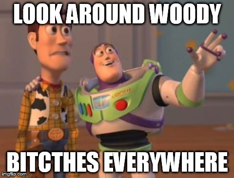 X, X Everywhere Meme | LOOK AROUND WOODY BITCTHES EVERYWHERE | image tagged in memes,x x everywhere | made w/ Imgflip meme maker