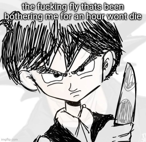 this is shit | the fucking fly thats been bothering me for an hour wont die | image tagged in holy shi- its goku | made w/ Imgflip meme maker