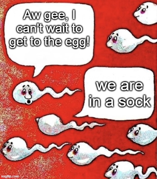 Sperm talk | Aw gee, I can't wait to get to the egg! we are in a sock | image tagged in sperm talk | made w/ Imgflip meme maker