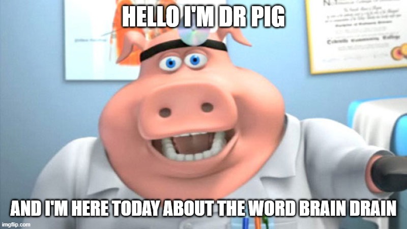 dr pig talks about brain drain | HELLO I'M DR PIG; AND I'M HERE TODAY ABOUT THE WORD BRAIN DRAIN | image tagged in i diagnose you with dead,back at the barnyard,nickelodeon,paramount,memes,brain drain | made w/ Imgflip meme maker