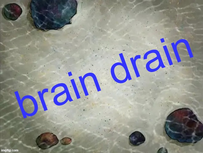 brain drain title card | brain drain | image tagged in spongebob thing,brain drain,title card,memes | made w/ Imgflip meme maker