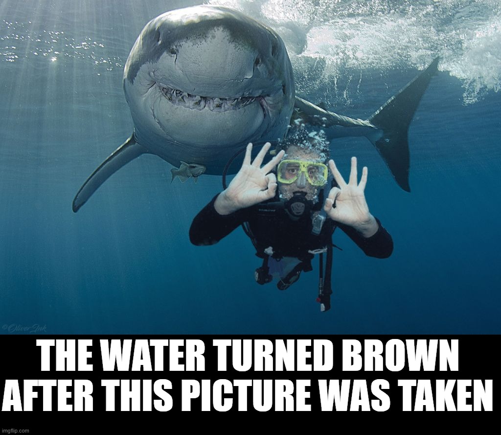 Is that a shark or something? | THE WATER TURNED BROWN AFTER THIS PICTURE WAS TAKEN | image tagged in swimming,shark | made w/ Imgflip meme maker