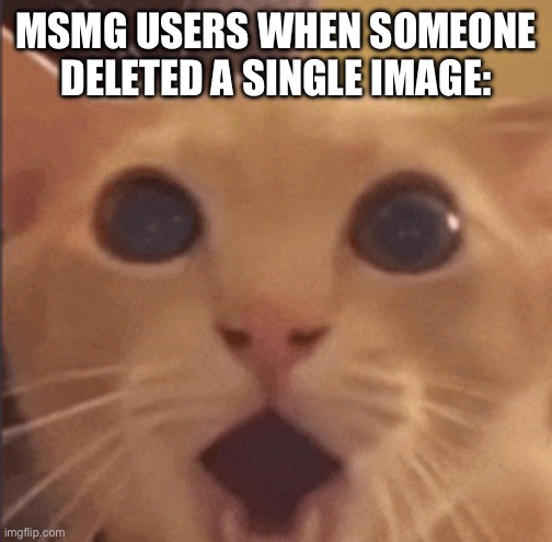 MSMG USERS WHEN SOMEONE DELETED A SINGLE IMAGE: | made w/ Imgflip meme maker