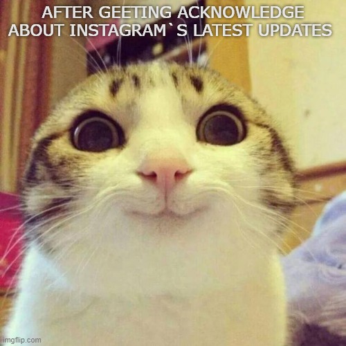 Smiling Cat | AFTER GEETING ACKNOWLEDGE ABOUT INSTAGRAM`S LATEST UPDATES | image tagged in memes,smiling cat | made w/ Imgflip meme maker
