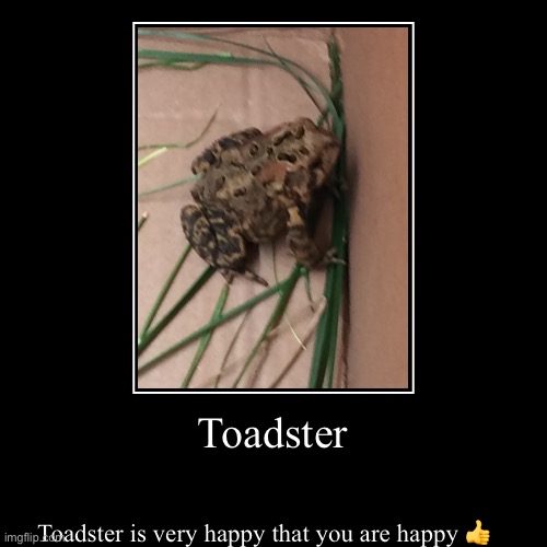 Le toadster | Toadster | Toadster is very happy that you are happy ? | image tagged in funny,demotivationals | made w/ Imgflip demotivational maker