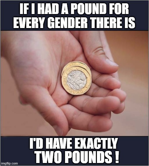 You Know I'm Right ! | IF I HAD A POUND FOR
EVERY GENDER THERE IS; I'D HAVE EXACTLY; TWO POUNDS ! | image tagged in gender identity,pounds,dark humour | made w/ Imgflip meme maker