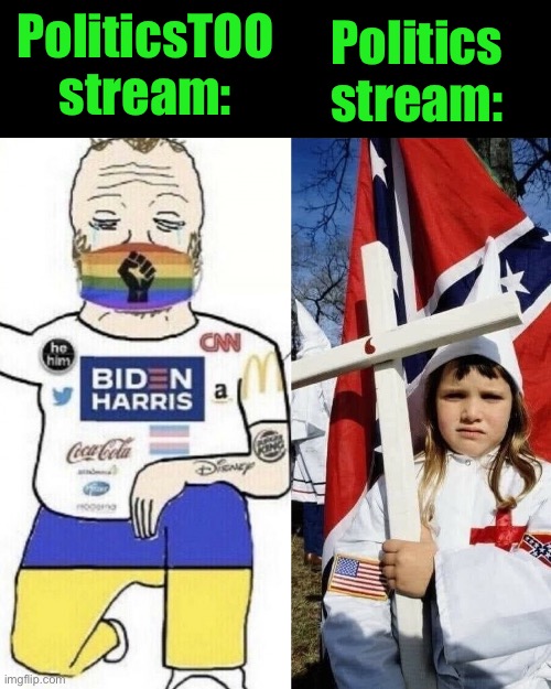 Liberals vs. Conservatives | Politics stream:; PoliticsTOO stream: | image tagged in liberals vs conservatives | made w/ Imgflip meme maker