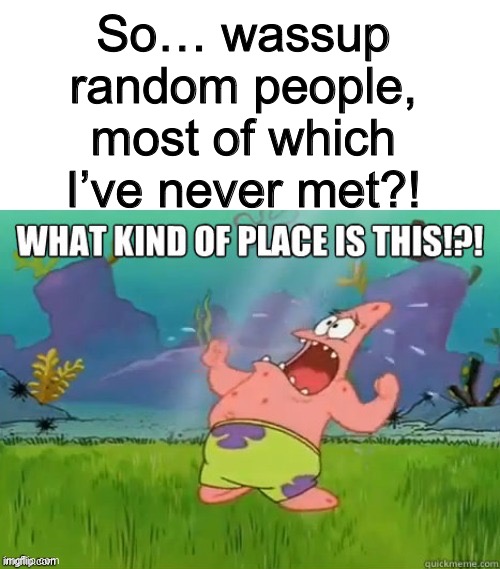 Just looking for some help in describing what this place is. Felt cute. Might join full time | So… wassup random people, most of which I’ve never met?! | image tagged in what kind of place is this | made w/ Imgflip meme maker