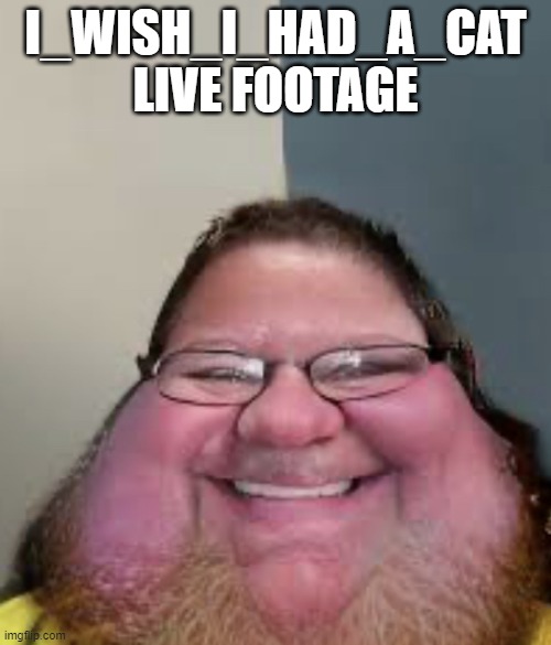 Discord mod | I_WISH_I_HAD_A_CAT LIVE FOOTAGE | image tagged in discord mod | made w/ Imgflip meme maker