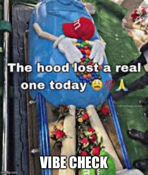 Vibe | VIBE CHECK | made w/ Imgflip meme maker