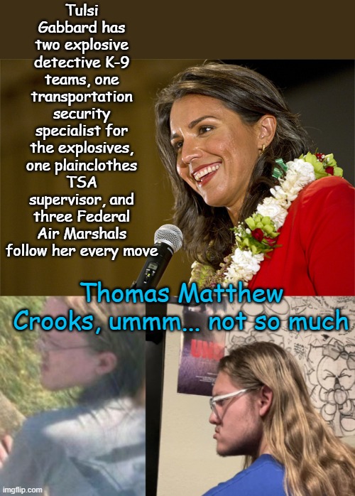 You know you're in a Communist revolution when... | Tulsi Gabbard has two explosive detective K-9 teams, one transportation security specialist for the explosives, one plainclothes TSA supervisor, and three Federal Air Marshals follow her every move; Thomas Matthew Crooks, ummm... not so much | image tagged in tulsi gabbard genuine democrat,thomas matthew crooks | made w/ Imgflip meme maker