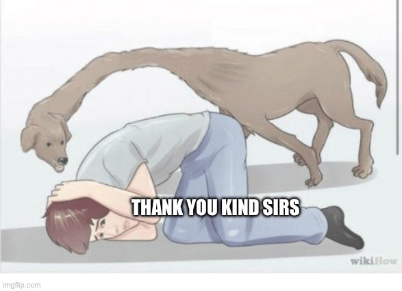 THANK YOU KIND SIRS | image tagged in wikihow dog | made w/ Imgflip meme maker