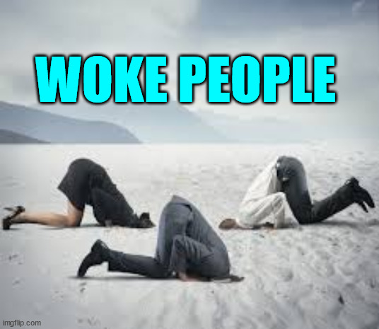 ostrich head in sand | WOKE PEOPLE | image tagged in ostrich head in sand | made w/ Imgflip meme maker