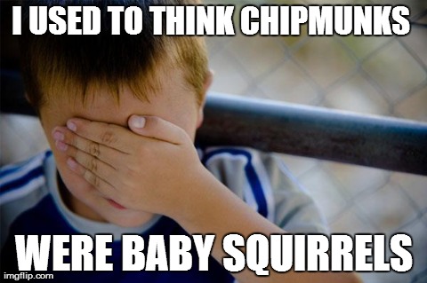Confession Kid | I USED TO THINK CHIPMUNKS  WERE BABY SQUIRRELS | image tagged in memes,confession kid,AdviceAnimals | made w/ Imgflip meme maker