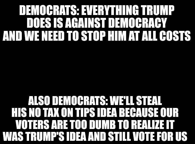 I'm really curious to know what Democrats actually think. Because it isn't any original thought. | DEMOCRATS: EVERYTHING TRUMP DOES IS AGAINST DEMOCRACY AND WE NEED TO STOP HIM AT ALL COSTS; ALSO DEMOCRATS: WE'LL STEAL HIS NO TAX ON TIPS IDEA BECAUSE OUR VOTERS ARE TOO DUMB TO REALIZE IT WAS TRUMP'S IDEA AND STILL VOTE FOR US | image tagged in blank black | made w/ Imgflip meme maker