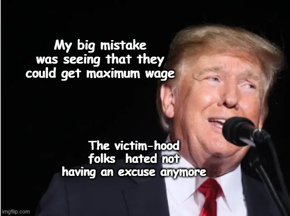 My big mistake was seeing that they could get maximum wage The victim-hood folks  hated not having an excuse anymore | made w/ Imgflip meme maker