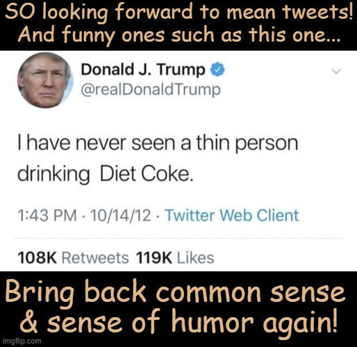 Thumbs-Up To This Tough, Take-charge American Treasure! | SO looking forward to mean tweets!
And funny ones such as this one... Bring back common sense 
& sense of humor again! | image tagged in donald trump,thankful,tweets,political humor,make america great again,common sense | made w/ Imgflip meme maker