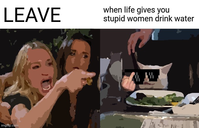 Woman Yelling At Cat | LEAVE; when life gives you stupid women drink water | image tagged in memes,woman yelling at cat | made w/ Imgflip meme maker