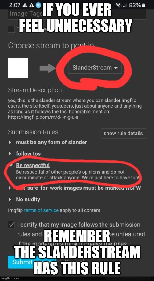 Confusion | REMEMBER THE SLANDERSTREAM HAS THIS RULE | image tagged in slander,respect | made w/ Imgflip meme maker